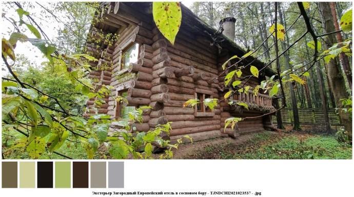 Экстерьер загородный европейский отель в сосновом бору для съемок 3 Экстерьер загородный европейский отель в сосновом бору для съемок 3