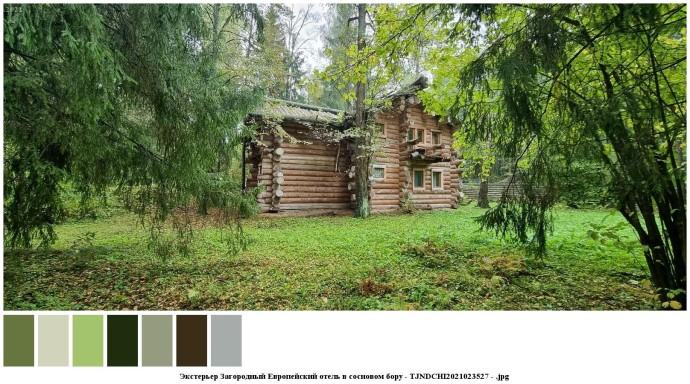 Экстерьер загородный европейский отель в сосновом бору для съемок 13 Экстерьер загородный европейский отель в сосновом бору для съемок 13