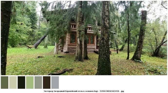 Экстерьер загородный европейский отель в сосновом бору для съемок 2 Экстерьер загородный европейский отель в сосновом бору для съемок 2