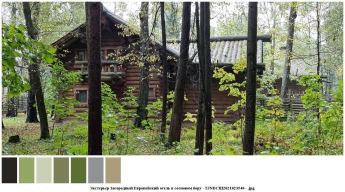 Экстерьер загородный европейский отель в сосновом бору для съемок 0 Экстерьер загородный европейский отель в сосновом бору для съемок 0