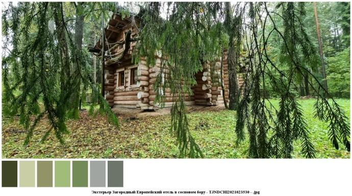 Экстерьер загородный европейский отель в сосновом бору для съемок 10 Экстерьер загородный европейский отель в сосновом бору для съемок 10