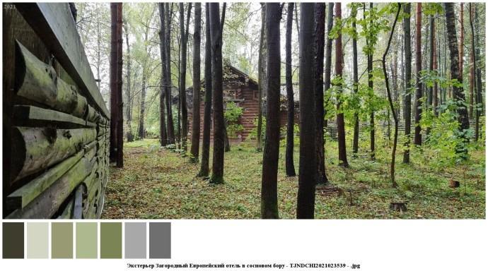 Экстерьер загородный европейский отель в сосновом бору для съемок 1 Экстерьер загородный европейский отель в сосновом бору для съемок 1
