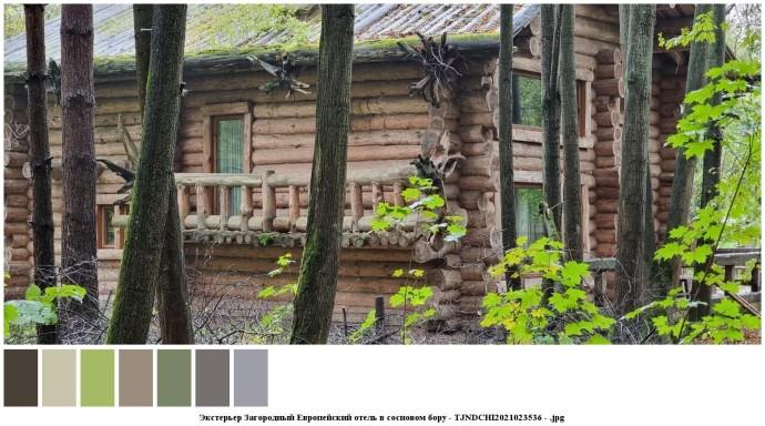 Экстерьер загородный европейский отель в сосновом бору для съемок 4 Экстерьер загородный европейский отель в сосновом бору для съемок 4