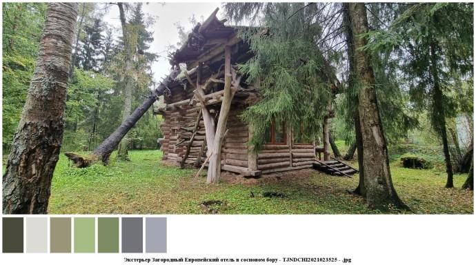Экстерьер загородный европейский отель в сосновом бору для съемок 15 Экстерьер загородный европейский отель в сосновом бору для съемок 15