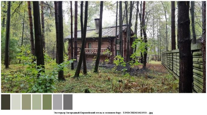 Экстерьер загородный европейский отель в сосновом бору для съемок 7 Экстерьер загородный европейский отель в сосновом бору для съемок 7
